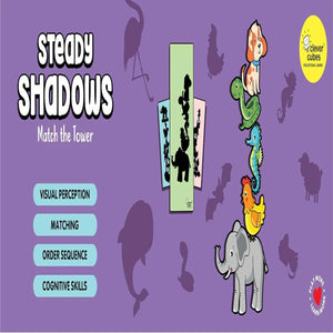 Clever Cubes Steady Shadows Go Science Goods.