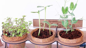 Funvention Garden Drip Irrigation Kit_goscience_product_image_6