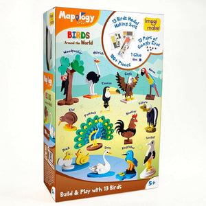 Imagimake Birds Worldwide 3D Miniature 13 Models  Go Science Goods.