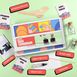 Kit components for making a mini terrarium on a green background. Kitsters DIY Mini Terrarium Kit available at Go Science product image 3