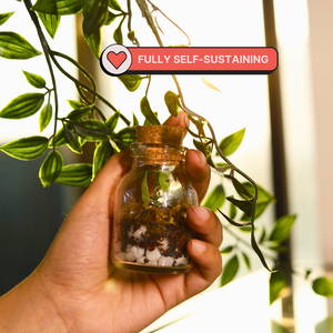 Hand holding a small glass jar with plant material against a green leafy background. Kitsters DIY Mini Terrarium Kit available at Go Science product image 4