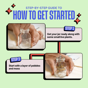 Step-by-step guide on how to start a terrarium with text and images of hands and a jar. Kitsters DIY Mini Terrarium Kit available at Go Science product image 5