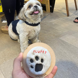 Small dog with a toy labeled 'Fluffy' on a pavement. Kitsters DIY Paw Printing Kit at Go Science Product Image 7