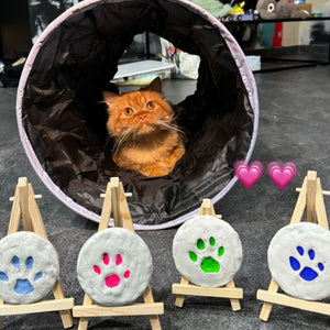Cat sitting inside a pet tunnel with paw print decorations on stands in front. Kitsters DIY Paw Printing Kit at Go Science Product Image 8