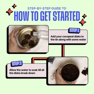Step-by-step guide on how to use cocopeat disks with a colorful background. Kitsters Grow in a Can - Cilantro available at Go Science product image 5