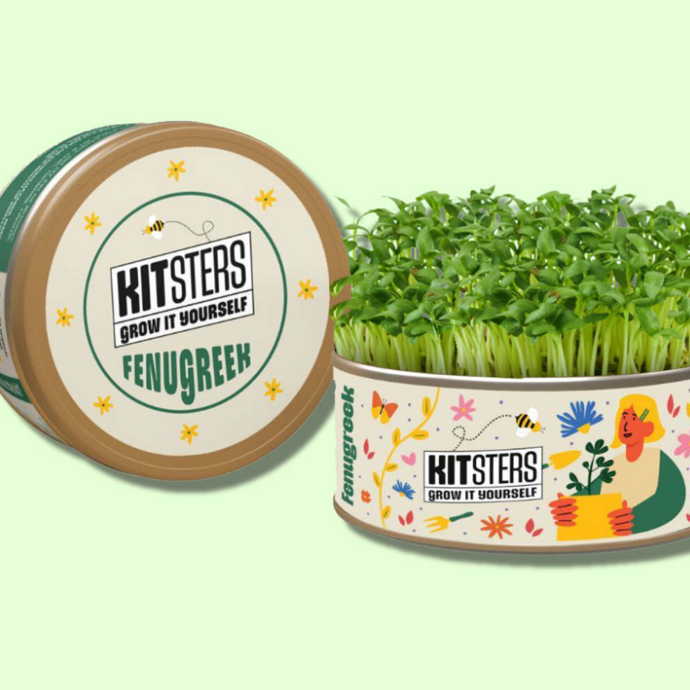Kitsters fenugreek seedling kit with a green background. Kitsters Grow in a Can - Fenugreek available at Go Science product image 1