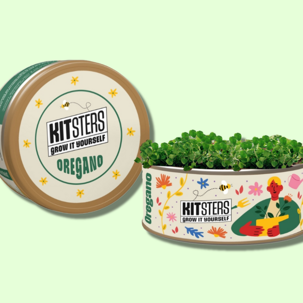 Kitsters oregano plant kit with decorative container on a light green background. Kitsters Grow in a Can - Oregano available at Go Science product image 1