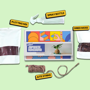 Set of materials for a craft project including a spray bottle, dried moss, jute string, and a framed artwork on a light green background. Kitsters Japanese Kokedama Kit available at Go Science product image 2