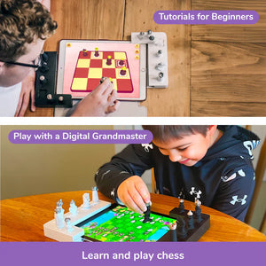 Play Shifu Tacto Chess Play Shifu Go Science Goods.