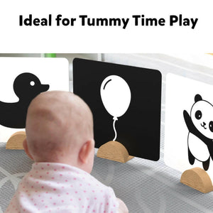 Skillmatics High Contrast Flash Cards Go Science .