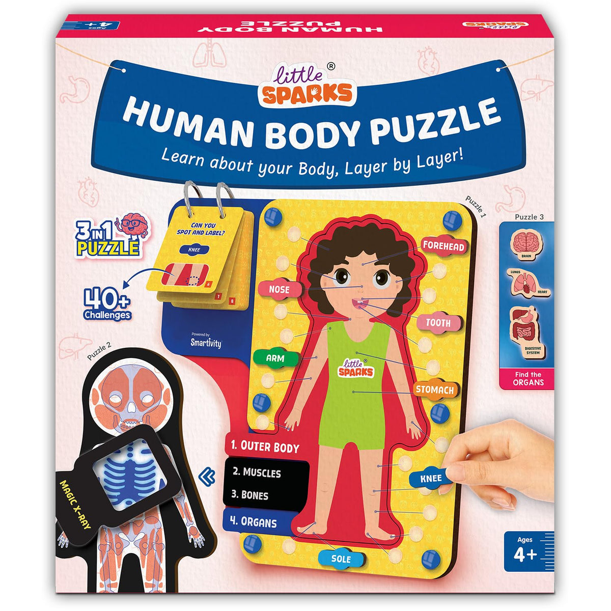 Little Sparks human body puzzle packaging with illustrations and text. Smartivity Human Body Puzzle for Kids available at go science product image 1
