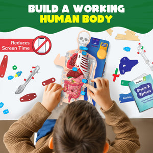 Smartivity Interactive Human Body at Go Science product image 2