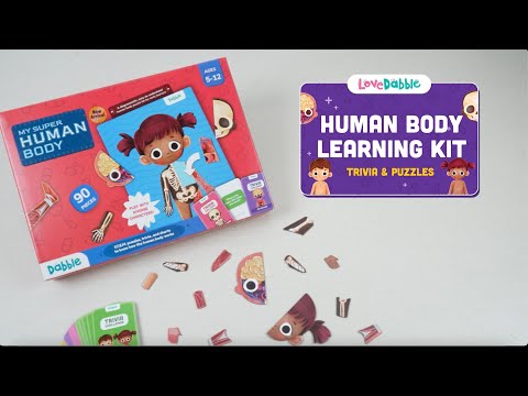 Play Shifu My Super Human Body Go Science .