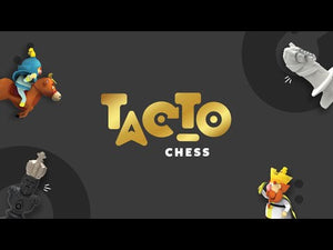 Play Shifu Tacto Chess Play Shifu Go Science Goods.