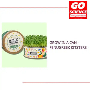 Grow in a Can - Fenugreek Kitsters by@Outfy