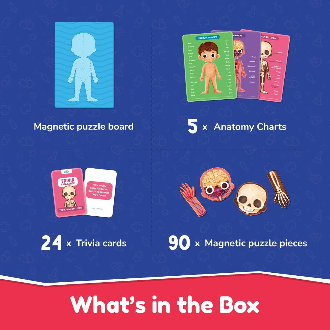 Play Shifu My Super Human Body  Go Science .