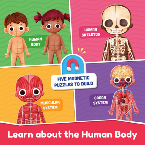 Play Shifu My Super Human Body  Go Science .