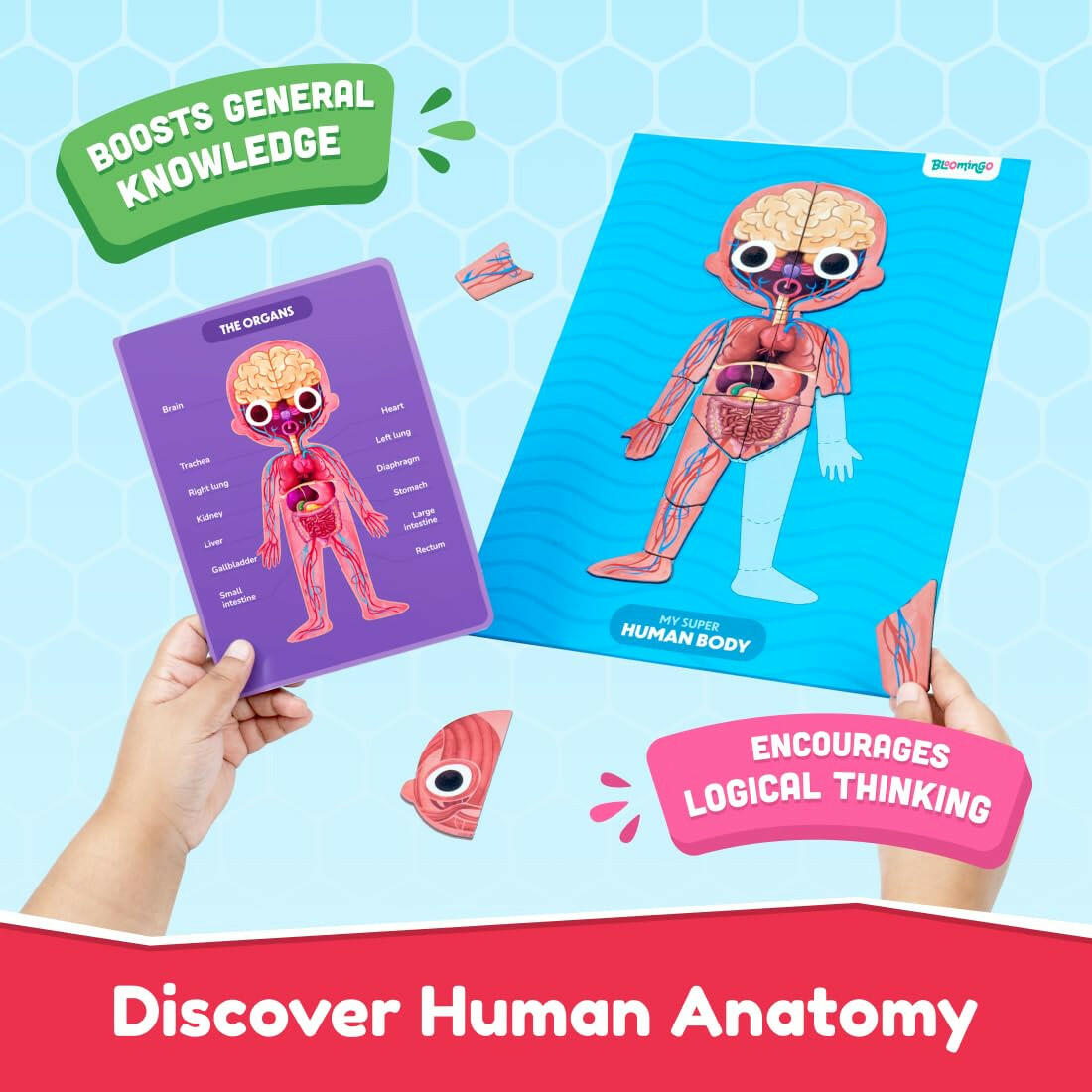 Play Shifu My Super Human Body  Go Science .