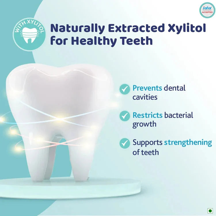 Tooth model with Xylitol benefits on a light blue background. Chicco  Bubble Gum Toothpaste 12M to 6Y 50g go littles product image 7