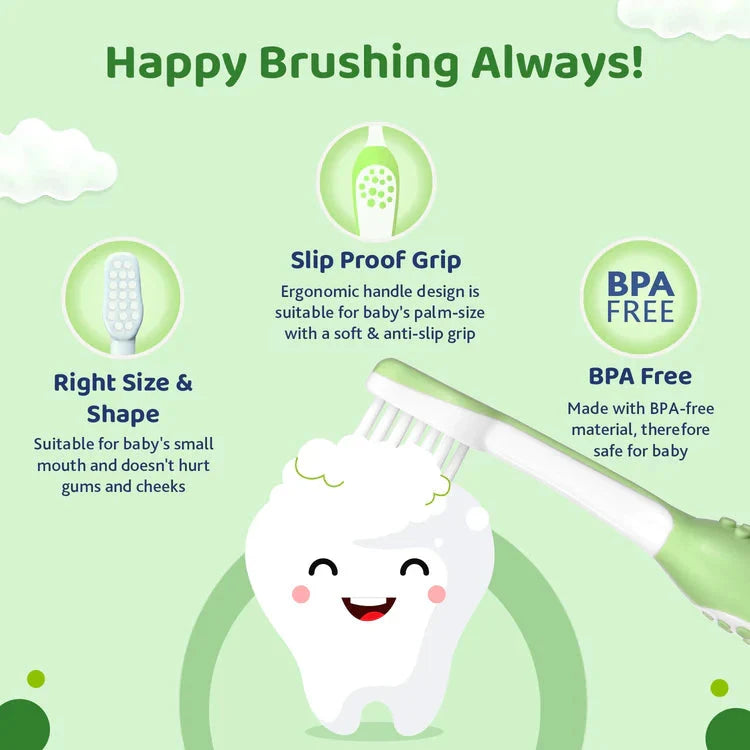 Baby toothbrush with features highlighted on a green background. Chicco Toothbrush Green 6M to 36M go littles product image 6