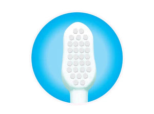 White baby teether with blue circle background. Chicco Toothbrush Set 6M to 36M Blue & Green Pack of 2 go littles product image 10