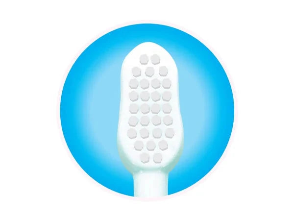 White baby teether with blue circle background. Chicco Toothbrush Set 6M to 36M Blue & Green Pack of 2 go littles product image 10
