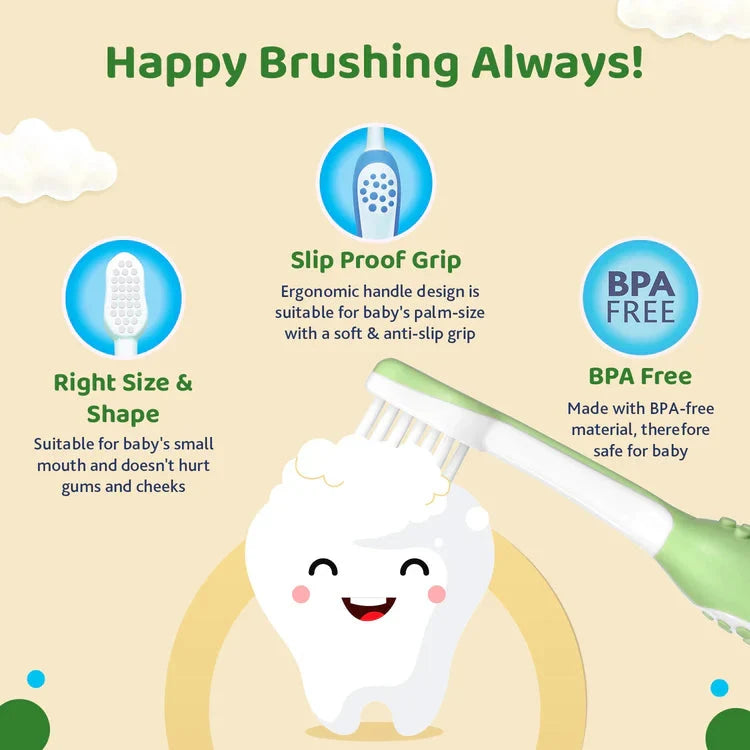Baby toothbrush with features highlighted on a beige background. Chicco Toothbrush Set 6M to 36M Blue & Green Pack of 2 go littles product image 6