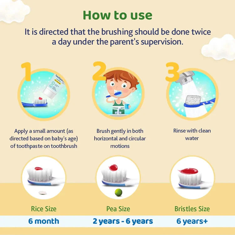 Instructions on how to use a children's toothbrush with illustrations and text. Chicco Toothbrush Set 6M to 36M Blue & Green Pack of 2 go littles product image 8