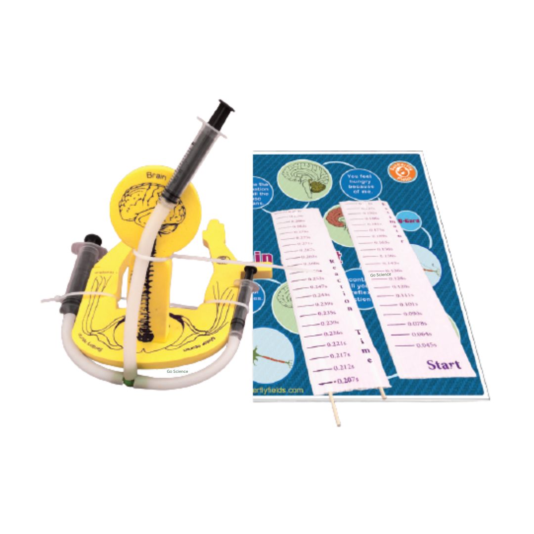 Grade10_Biology_project_Control_and_Coordination_go_science_product_image_1