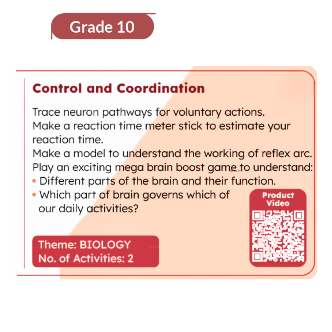 Grade10_Biology_project_Control_and_Coordination_go_science_product_image_2