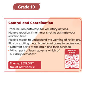 Grade10_Biology_project_Control_and_Coordination_go_science_product_image_2