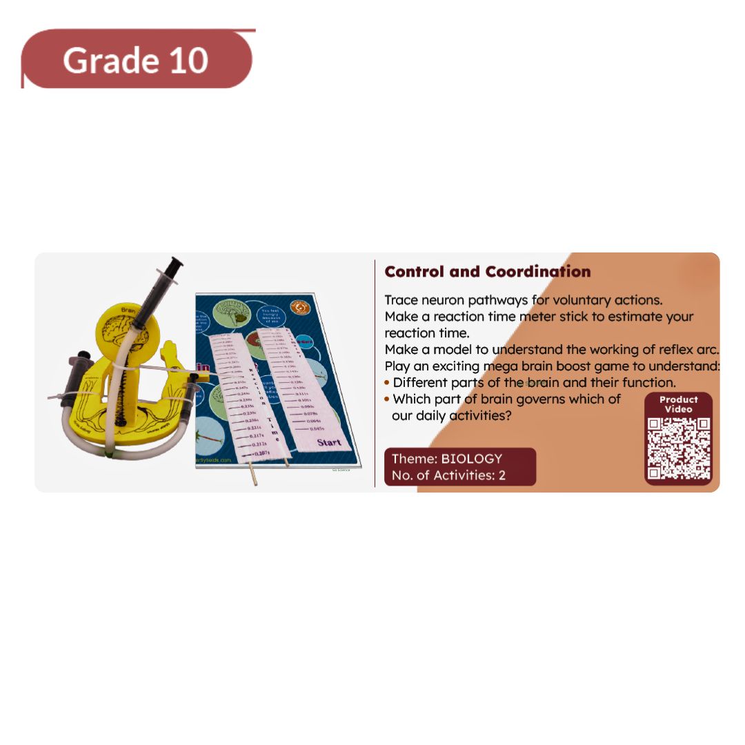 Grade10_Biology_project_Control_and_Coordination_go_science_product_image_3