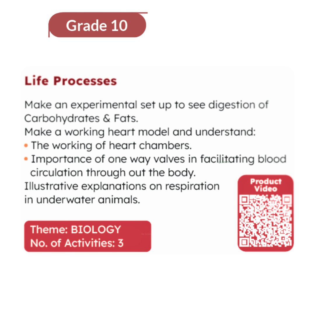 Grade10_Biology_project_LifeProcesses_go_science_product_image_2