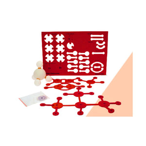 Grade_10_School_Project_Carbon_and_its_Compounds_Chemistry_project_at_go_Science_butterfly_edufields_productimage_1