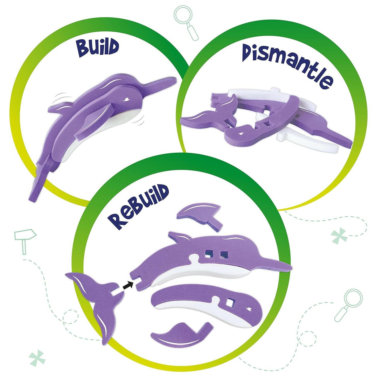 Imagimake National Symbol of India Mapology  Go Science Goods.