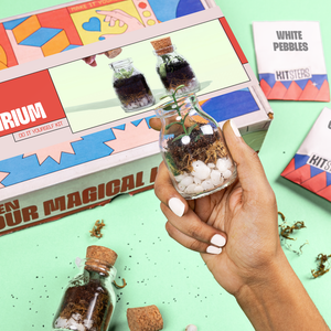 Hand holding a small terrarium with a 'White Pebbles' kit in the background. Kitsters DIY Mini Terrarium Kit available at Go Science product image 