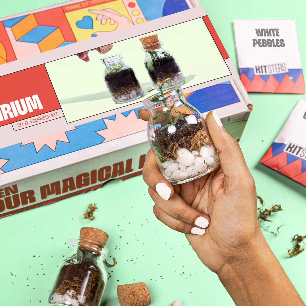 Hand holding a small terrarium with a 'White Pebbles' kit in the background. Kitsters DIY Mini Terrarium Kit available at Go Science product image 
