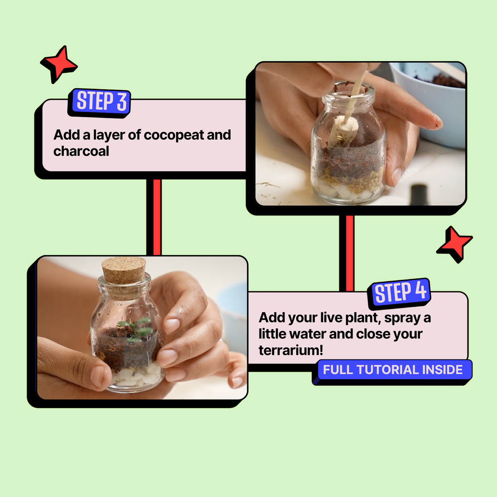 Step-by-step tutorial on creating a terrarium with text and images of hands holding a small glass jar. Kitsters DIY Mini Terrarium Kit available at Go Science product image 6
