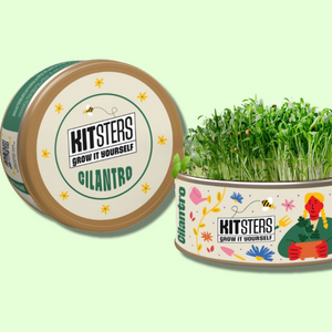 Kitsters cilantro growing kit with container and cilantro sprouts on a light green background. Kitsters Grow in a Can - Cilantro available at Go Science product image 1