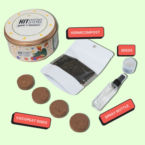 Gardening kit with vermicompost, seeds, coco peat disks, and spray bottle on a light green background. Kitsters Grow in a Can - Cilantro available at Go Science product image 2