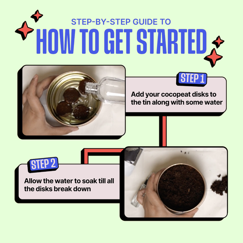 Step-by-step guide on how to use cocopeat disks with a colorful background. Kitsters Grow in a Can - Cilantro available at Go Science product image 5
