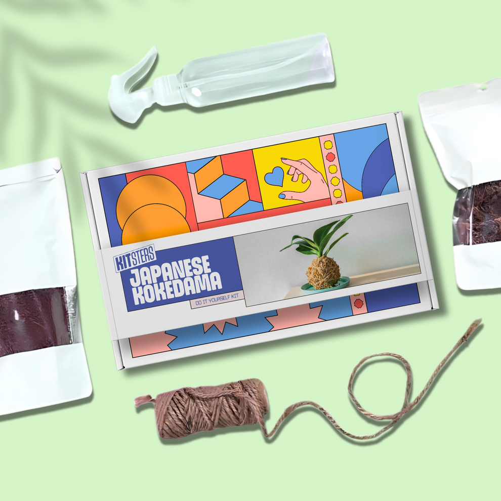 Colorful packaging of Japanese Kokedama with yarn and tools on a light green background. Kitsters Japanese Kokedama Kit available at Go Science product image 1