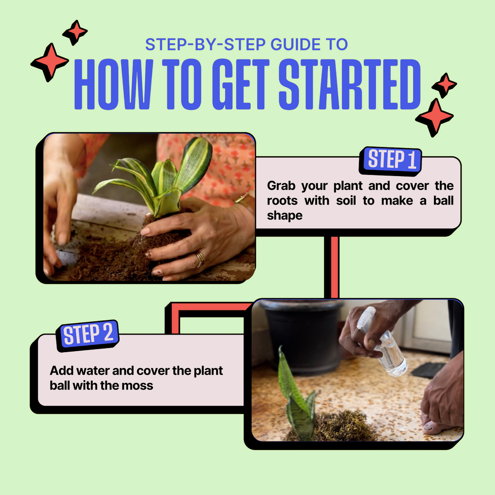 Step-by-step guide on how to get started with plant care, featuring hands performing actions and text instructions. Kitsters Japanese Kokedama Kit available at Go Science product image 6
