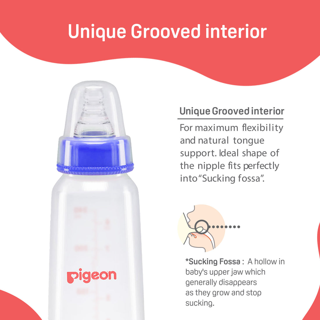 Baby bottle with blue cap and Pigeon branding on a white background. Pigeon Feeding Bottle 240ml LL Blue go little product main image 4