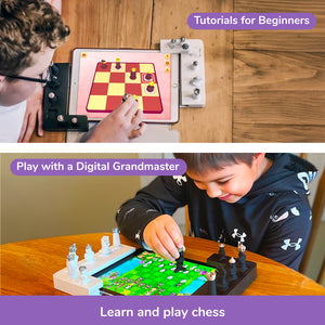 Play Shifu Tacto Chess Play Shifu  Go Science Goods.