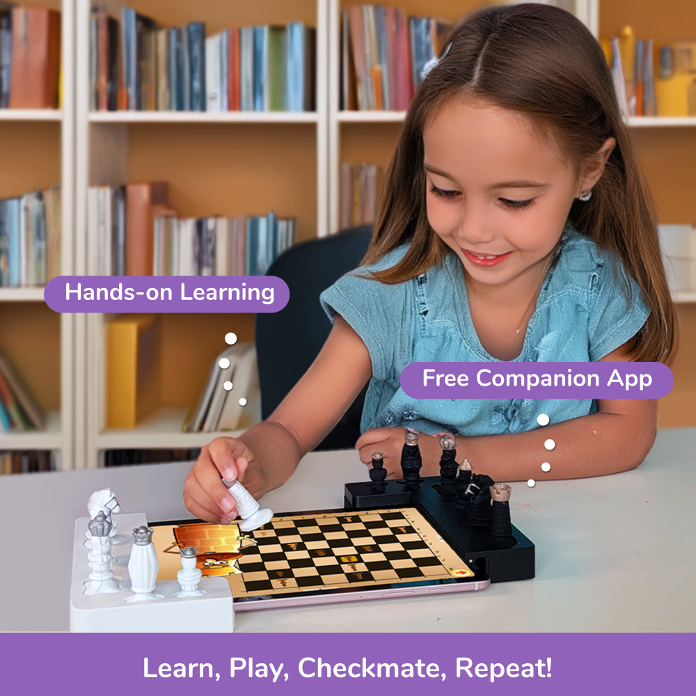 Play Shifu Tacto Chess Play Shifu  Go Science Goods.