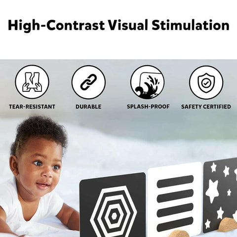 Skillmatics High Contrast Flash Cards  Go Science .