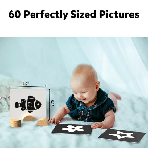 Skillmatics High Contrast Flash Cards  Go Science .