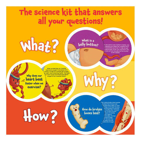Skillmatics Science Snippet Human Body  Go Science .