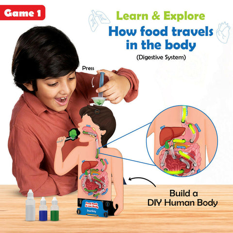 Smartivity Food Body & Nutrition Smartivity  Go Science Goods.